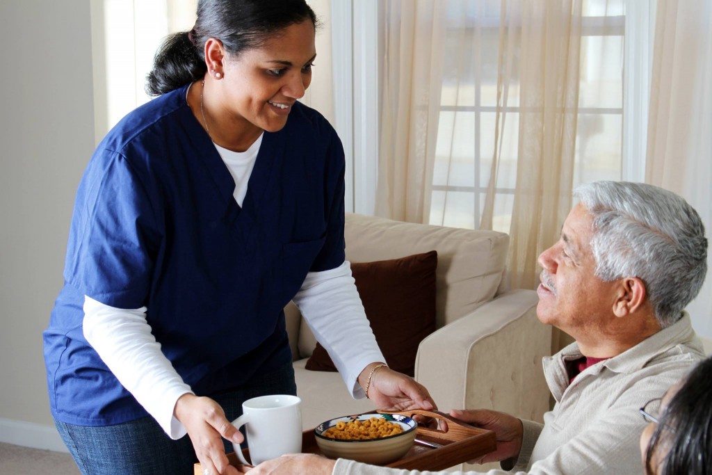 Domestic Care Support